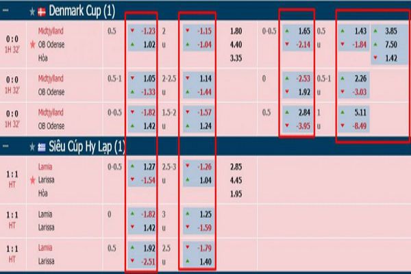 ty-le-cuoc-indonesia-2