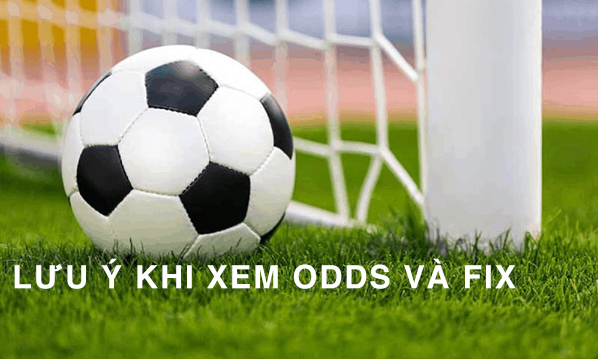 Giới thiệu về Odds và Fix trong cá độ đá bóng