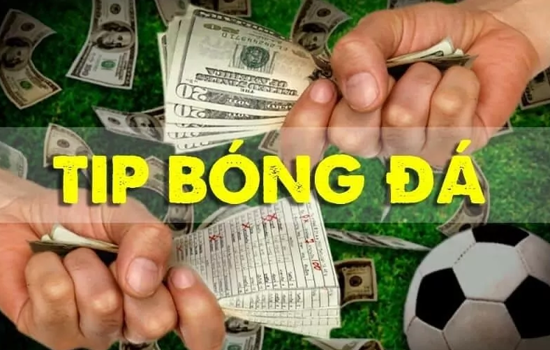 Đặc trưng cơ bản của tips bóng lừa đảo