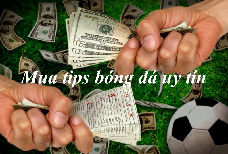 Thế nào là Tips bóng đá lừa đảo?